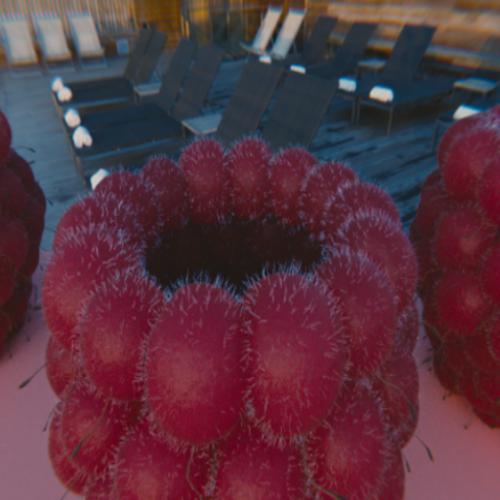 Raspberries preview image